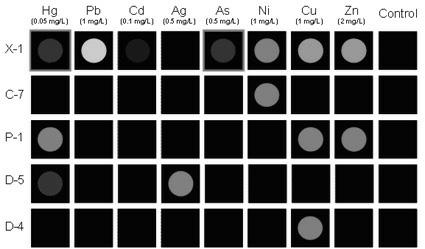 Method for detecting various heavy metal ions with photochemical colorimetric sensor array