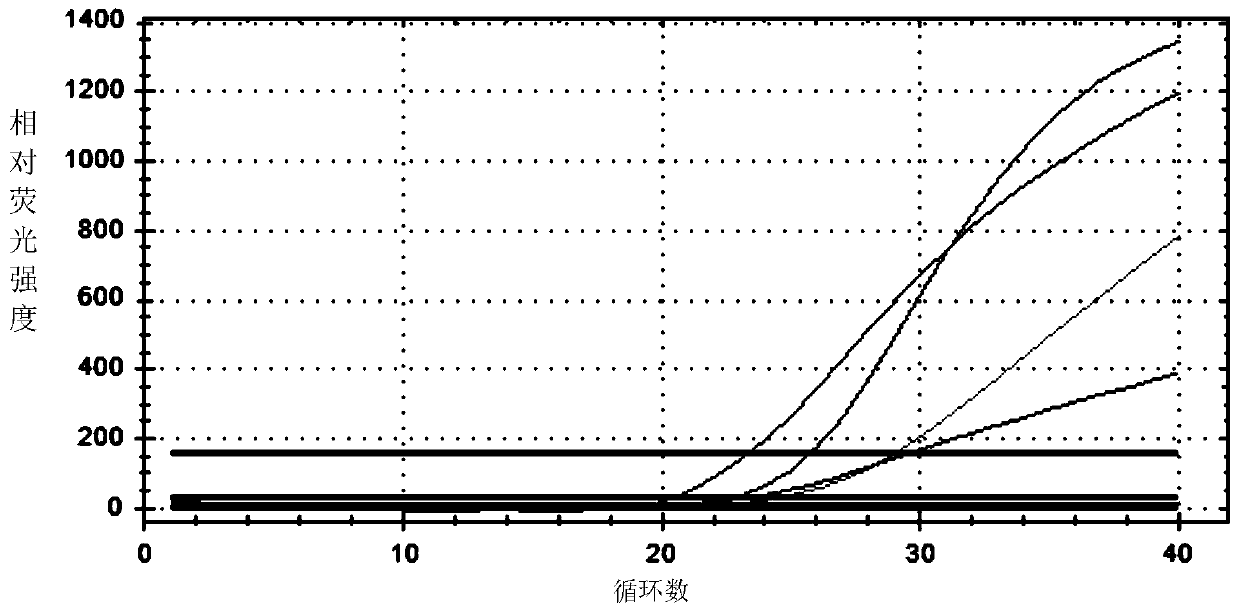 Primer and probe, kit and method for detecting Proteus mirabilis