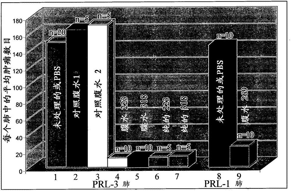 Antibodies binding to an intracellular PRL-1 OR PRL-3 polypeptide