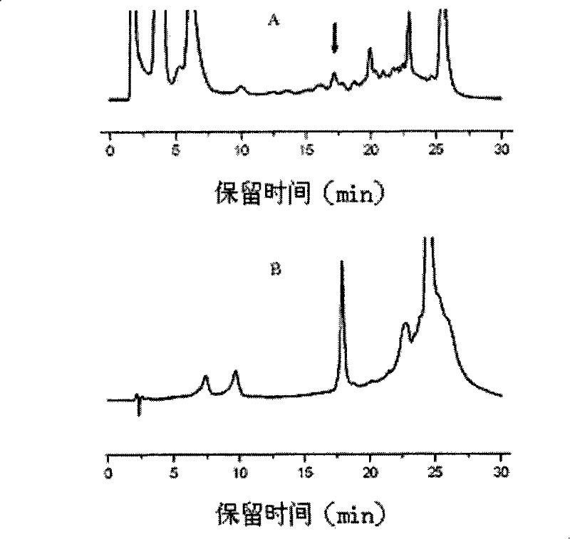 Molecule identification method for taxol-producing endophytic fungi in yew