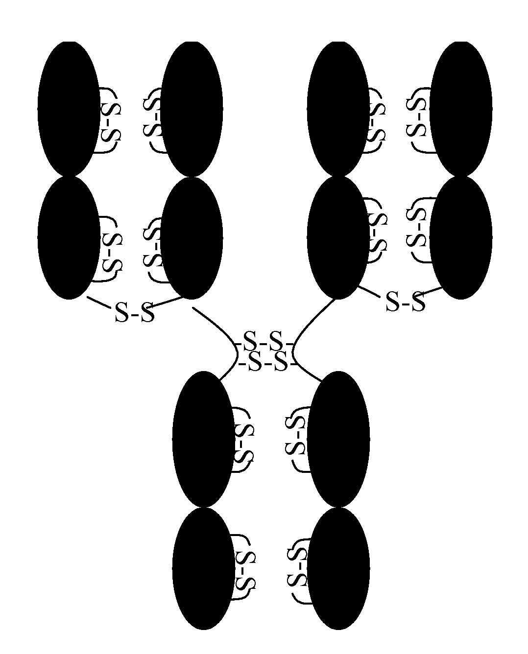 Method to Assess Stability of Proteins