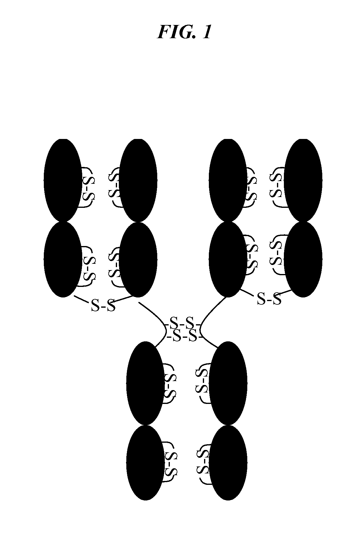 Method to Assess Stability of Proteins