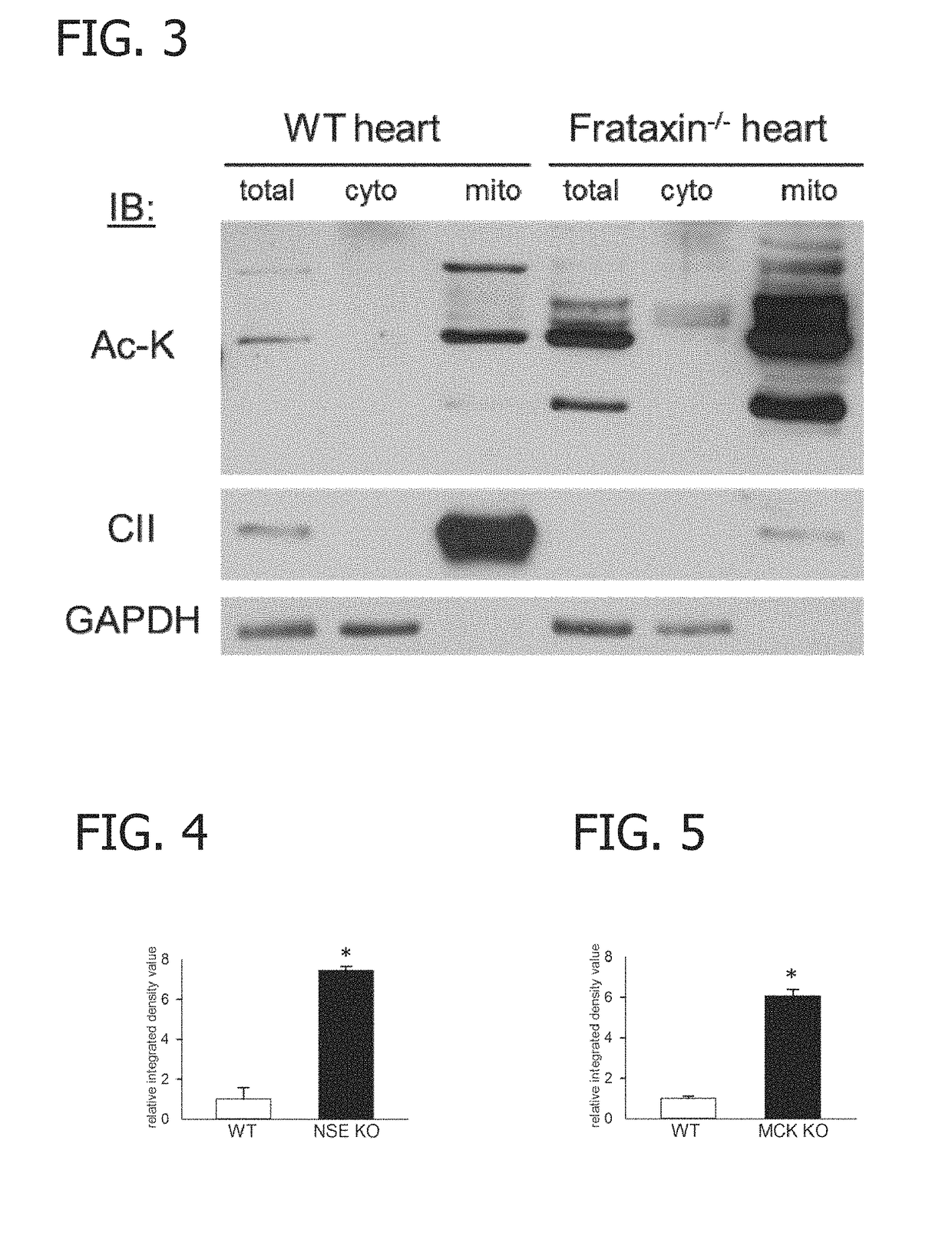 Biomarker for determining mitochondrial damage in friedreich's ataxia