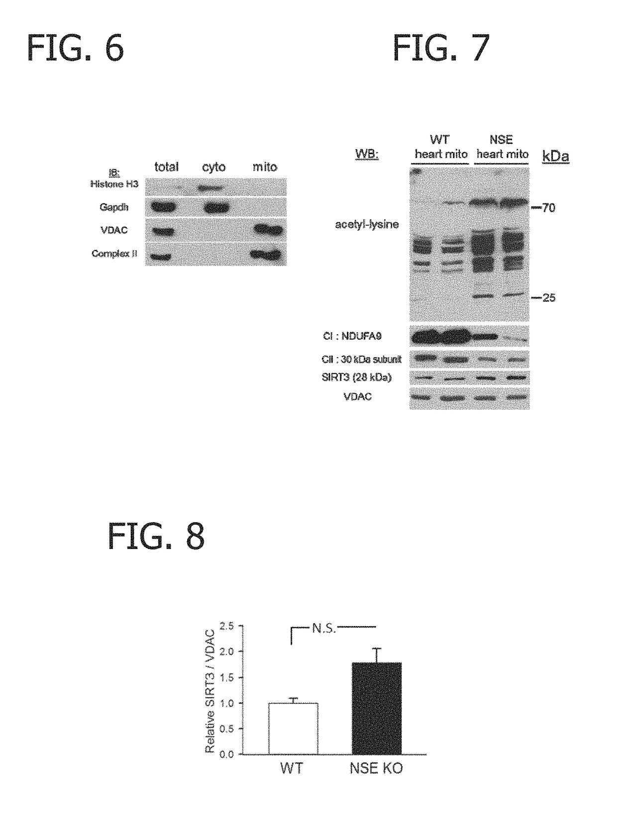 Biomarker for determining mitochondrial damage in friedreich's ataxia