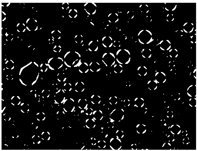 Moisturizing cream with good liquid crystal structures and preparation method thereof