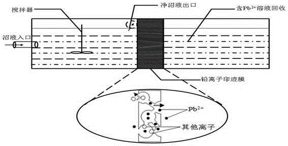 A method for separating and enriching Pb2+ in biogas slurry by using lead ion imprinted membrane