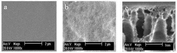 A method for separating and enriching Pb2+ in biogas slurry by using lead ion imprinted membrane