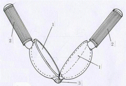 Broken soap molding device