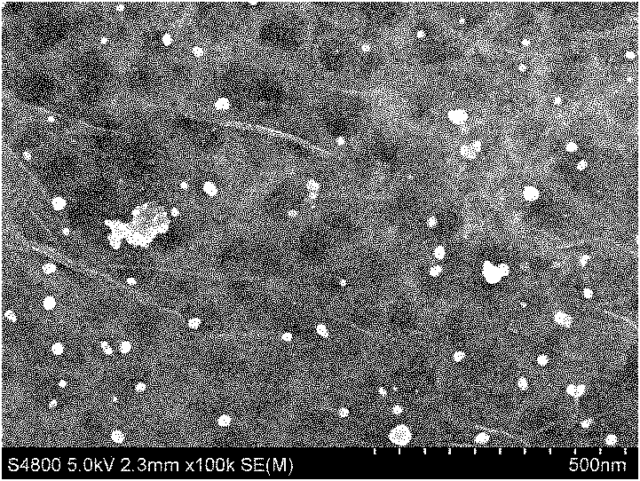 Metal-graphene-titanium dioxide nanotube array photocatalyst and preparation and application method thereof