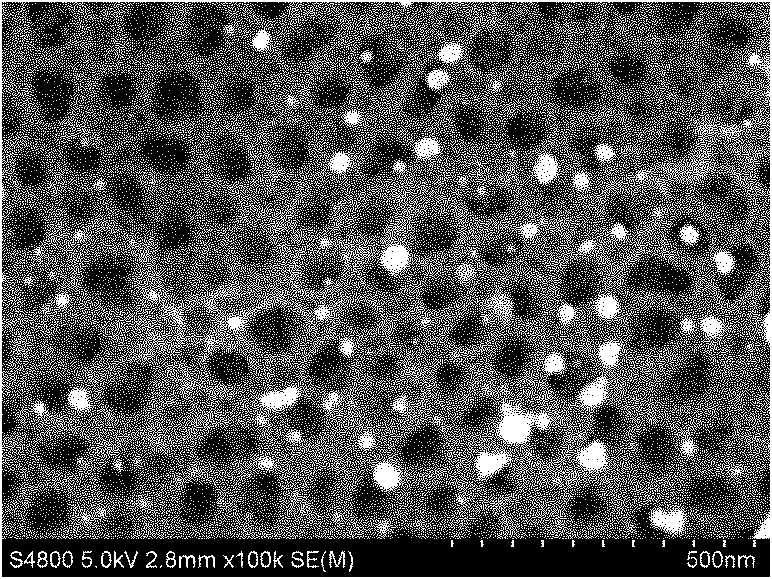 Metal-graphene-titanium dioxide nanotube array photocatalyst and preparation and application method thereof