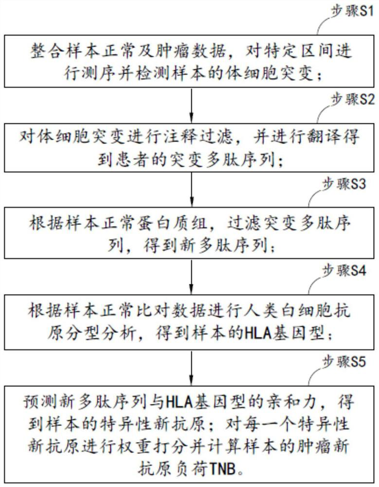 Method and system for calculating tumor neoantigen load