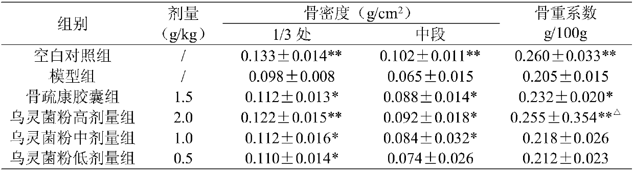 Application of Wuling powder in the preparation of medicines or health food for the prevention and treatment of osteoporosis and osteonecrosis