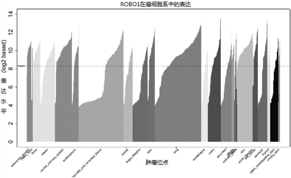 Slit2D2-chimeric antigen receptor and application thereof