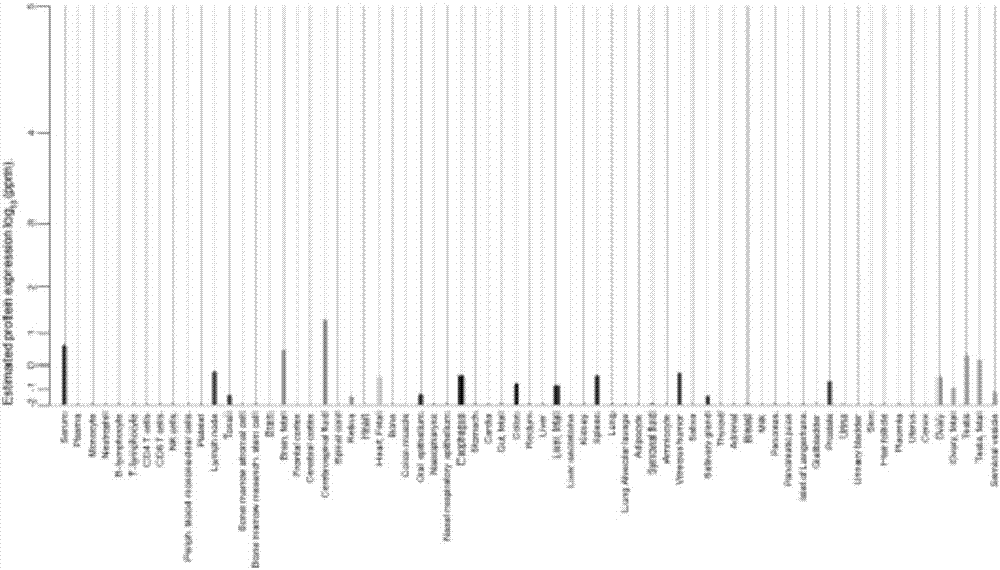 Slit2D2-chimeric antigen receptor and application thereof