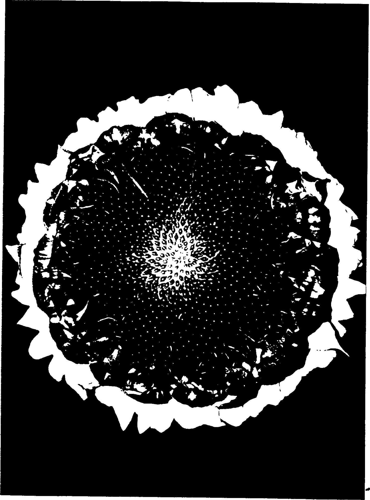 Method for processing sunflower seeds