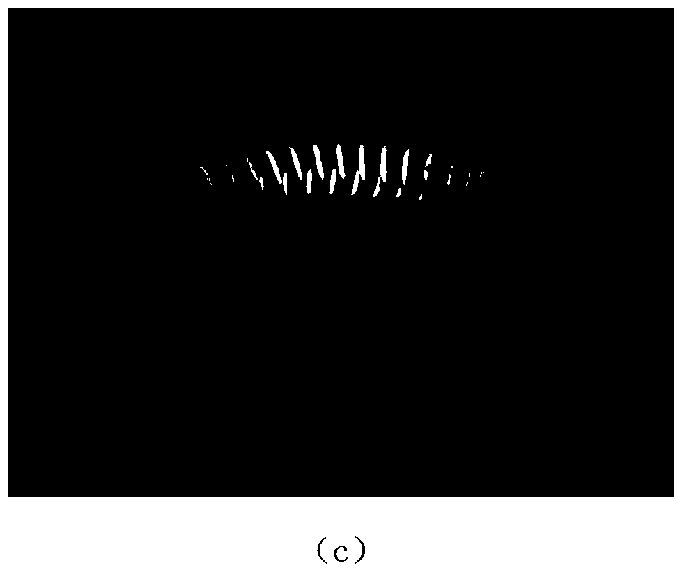 Spring type nanometer generator and self-driven dynamometer