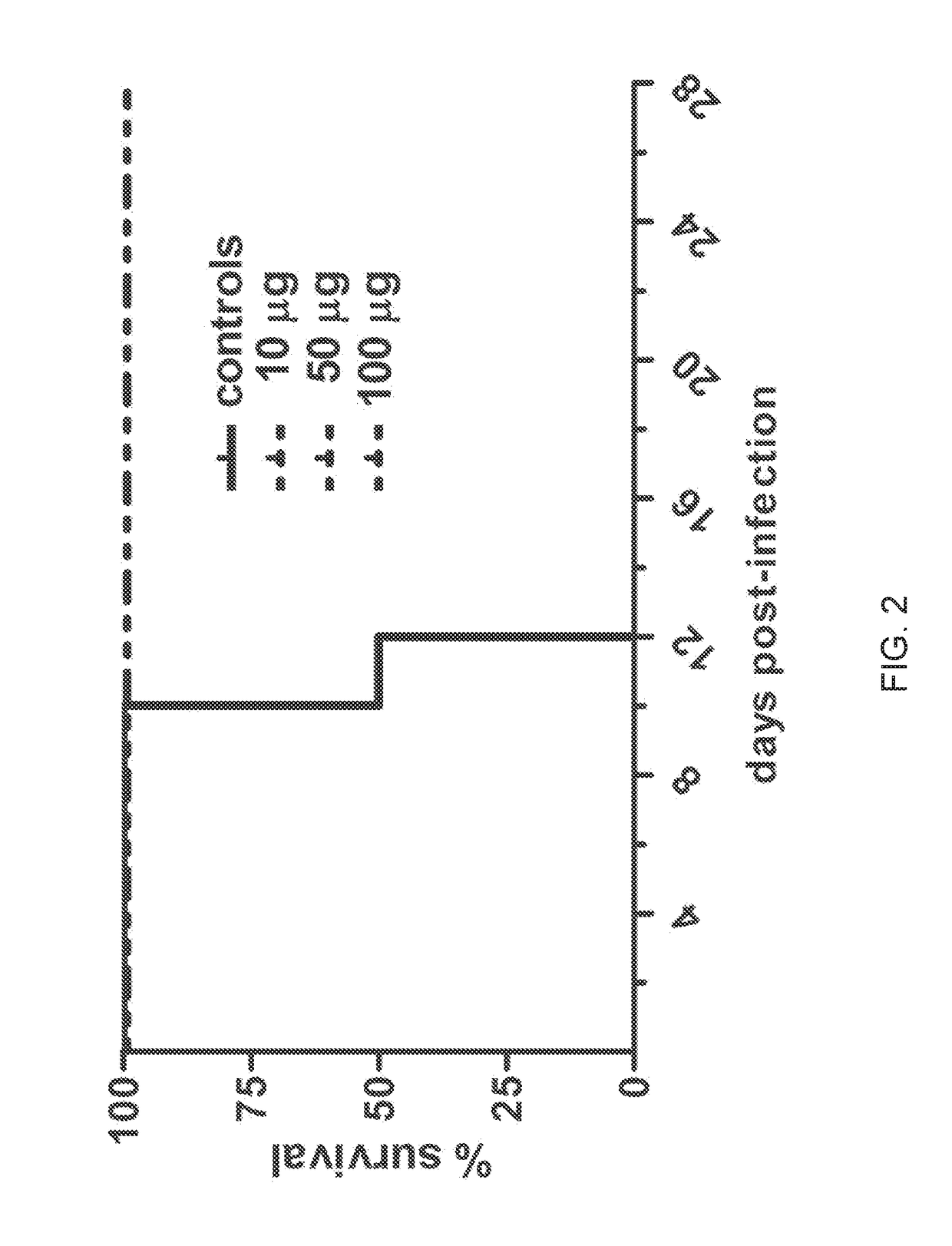 Hendra and nipah virus g glycoprotein immunogenic compositions