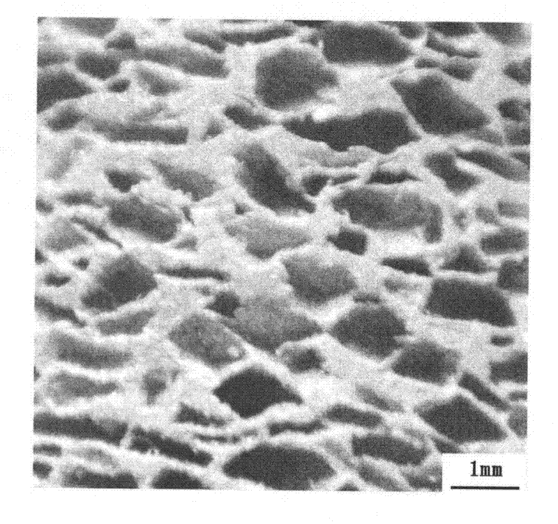 Method for preparing through-hole foam copper