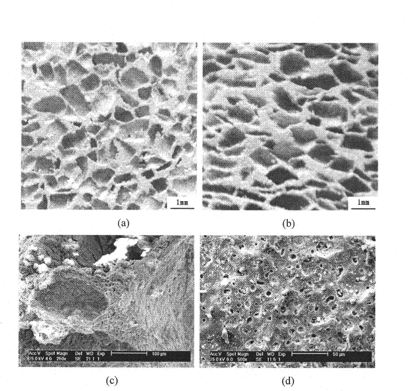 Method for preparing through-hole foam copper