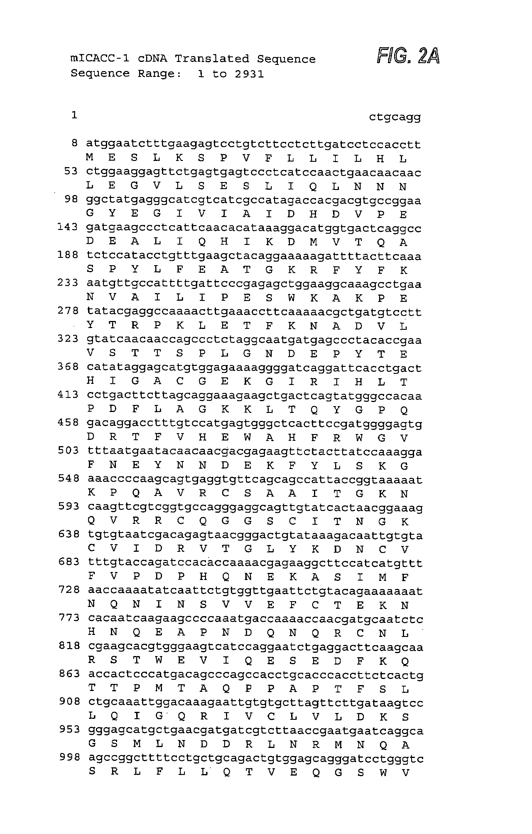 Methods for treating ICACC protein associated diseases