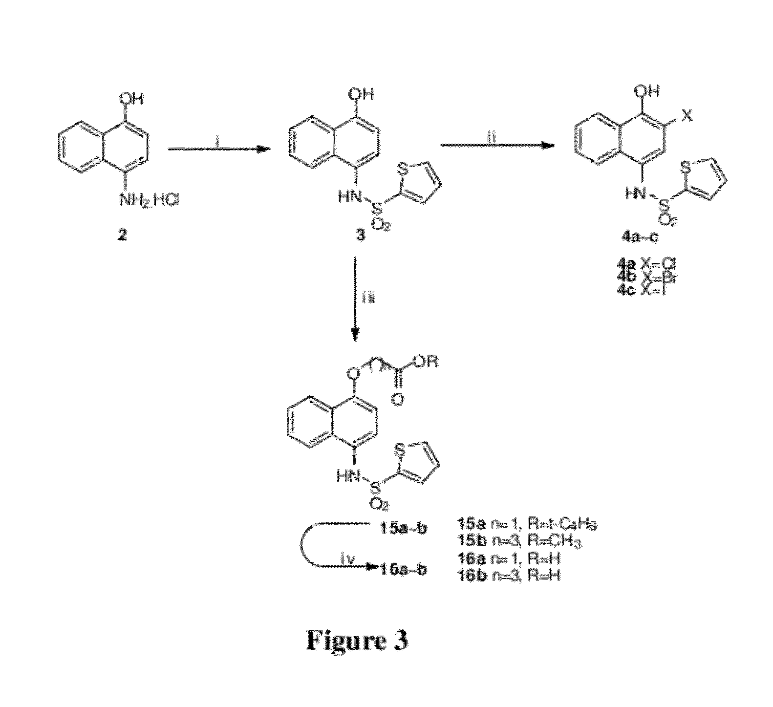 Proteasome inhibitors having chymotrypsin-like activity