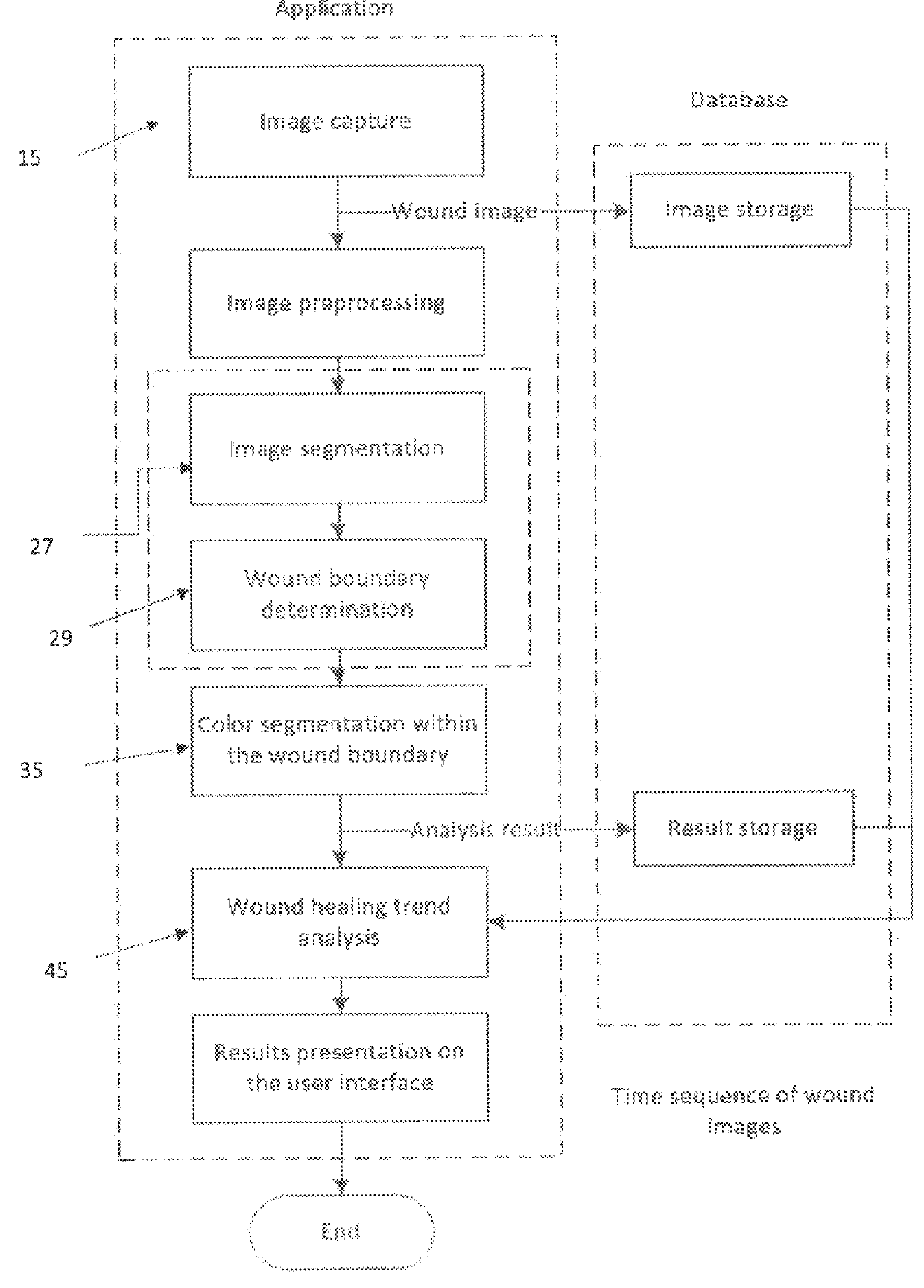 System and method for assessing wound