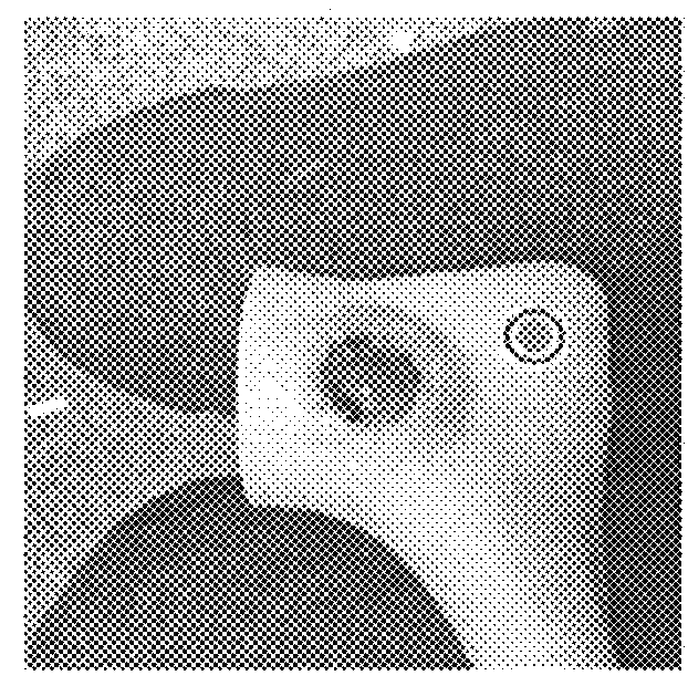 System and method for assessing wound