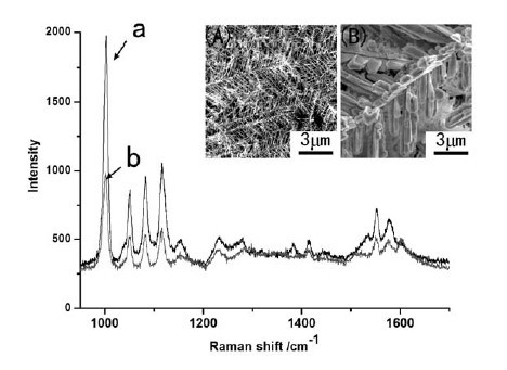 Silver nanodendrite surface enhanced Raman scattering (SERS) substrate, and preparation method and application thereof