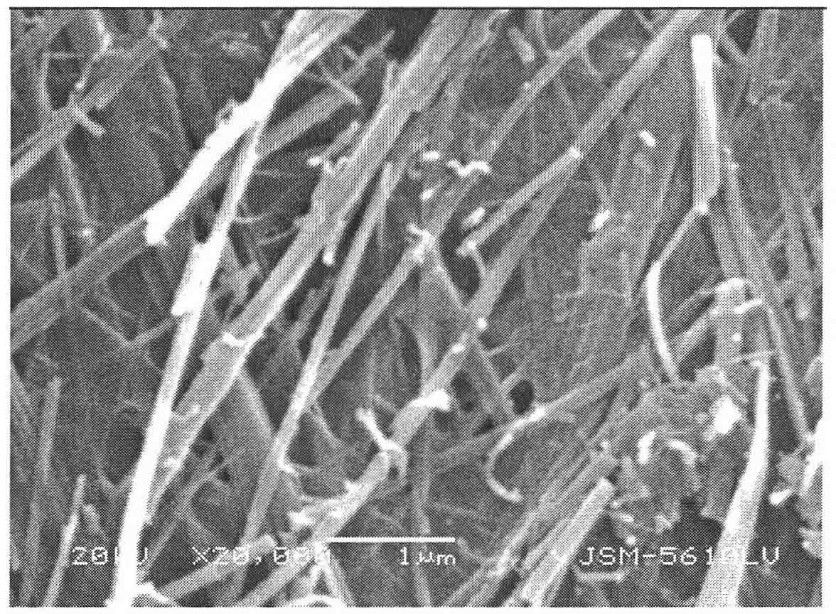 Preparation method of vanadium oxide/carbon nanometer tube composite materials with interpenetrating network structures