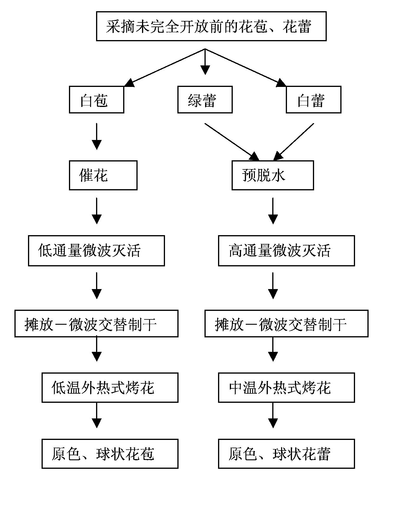 Processing method for primary-color spherical tea flowers