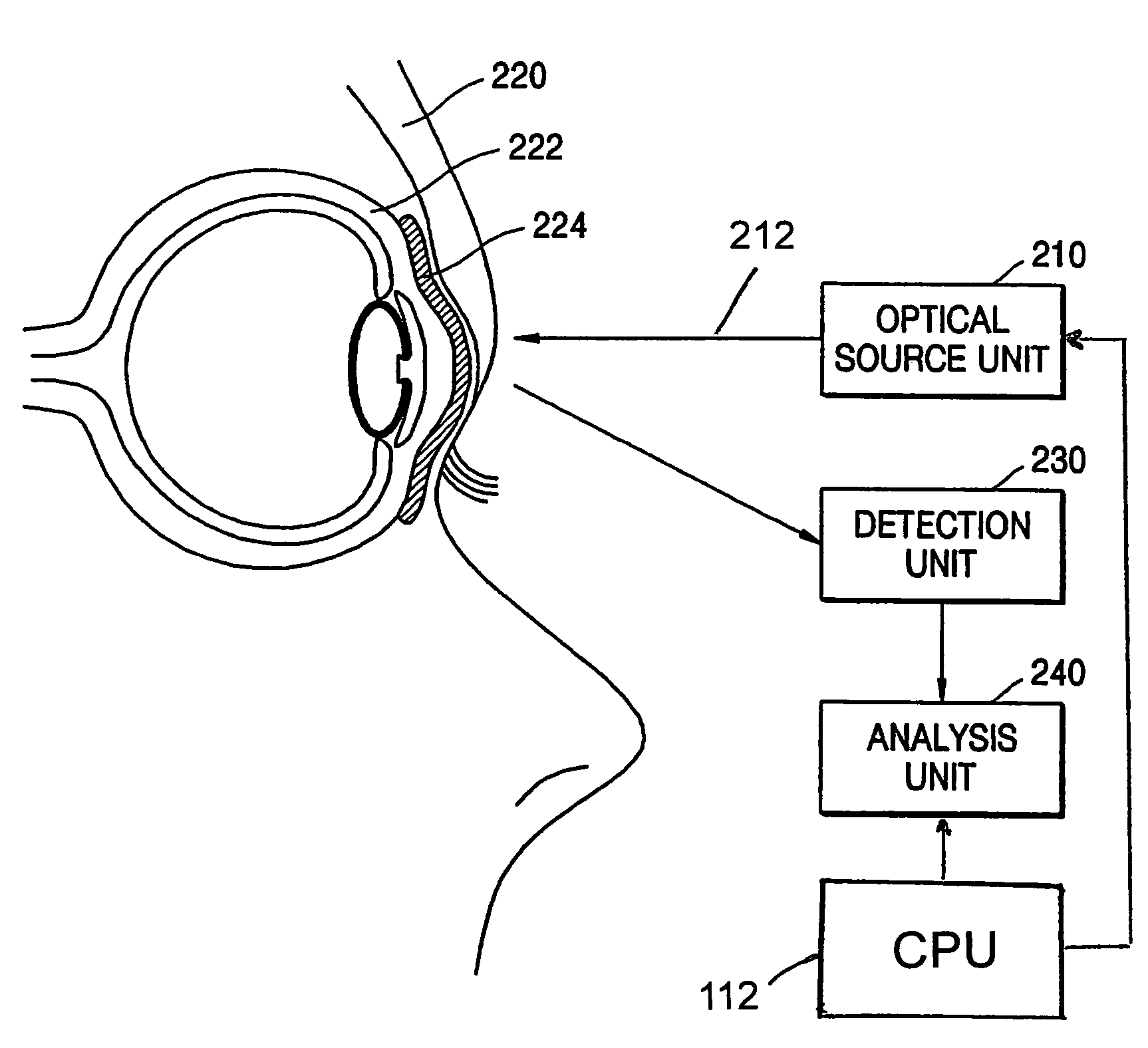 Apparatus and method for measuring blood component using light trans-reflectance