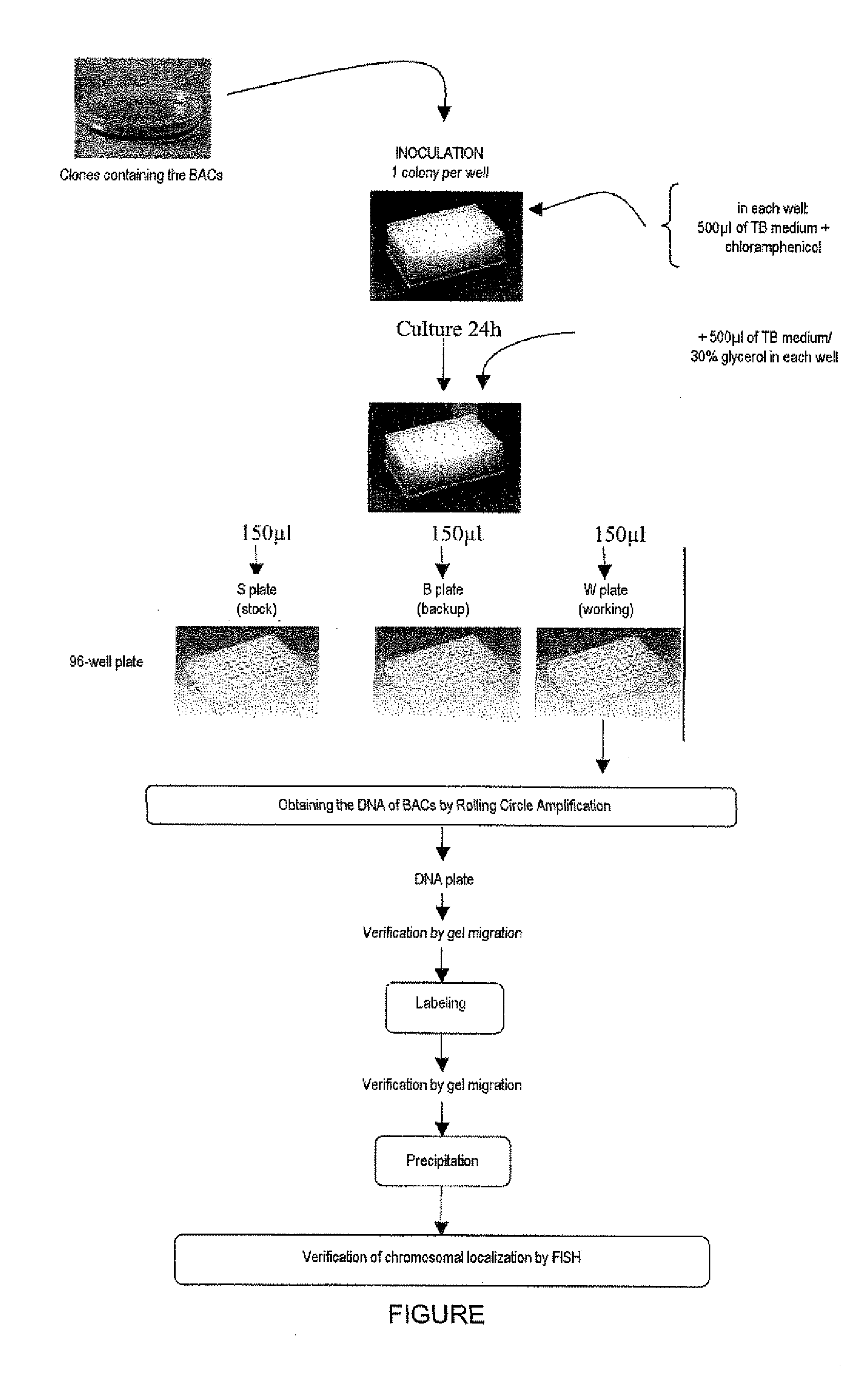 Method for detecting chromosomal abnormalities