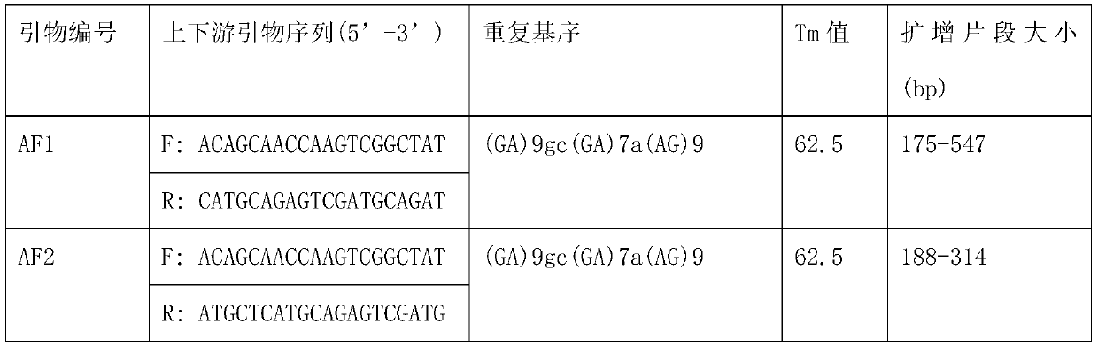 Microsatellite primers, applications and methods for identifying the sex of the pupae of the fly pupae, the egg of the wasp