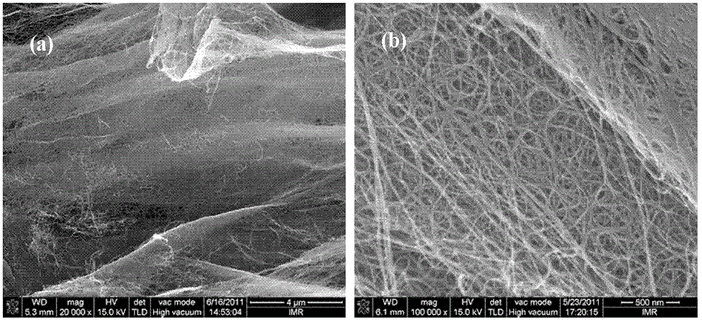 Controllable preparation method of high-oxidation-resistance high-purity single/double-wall carbon nanotube