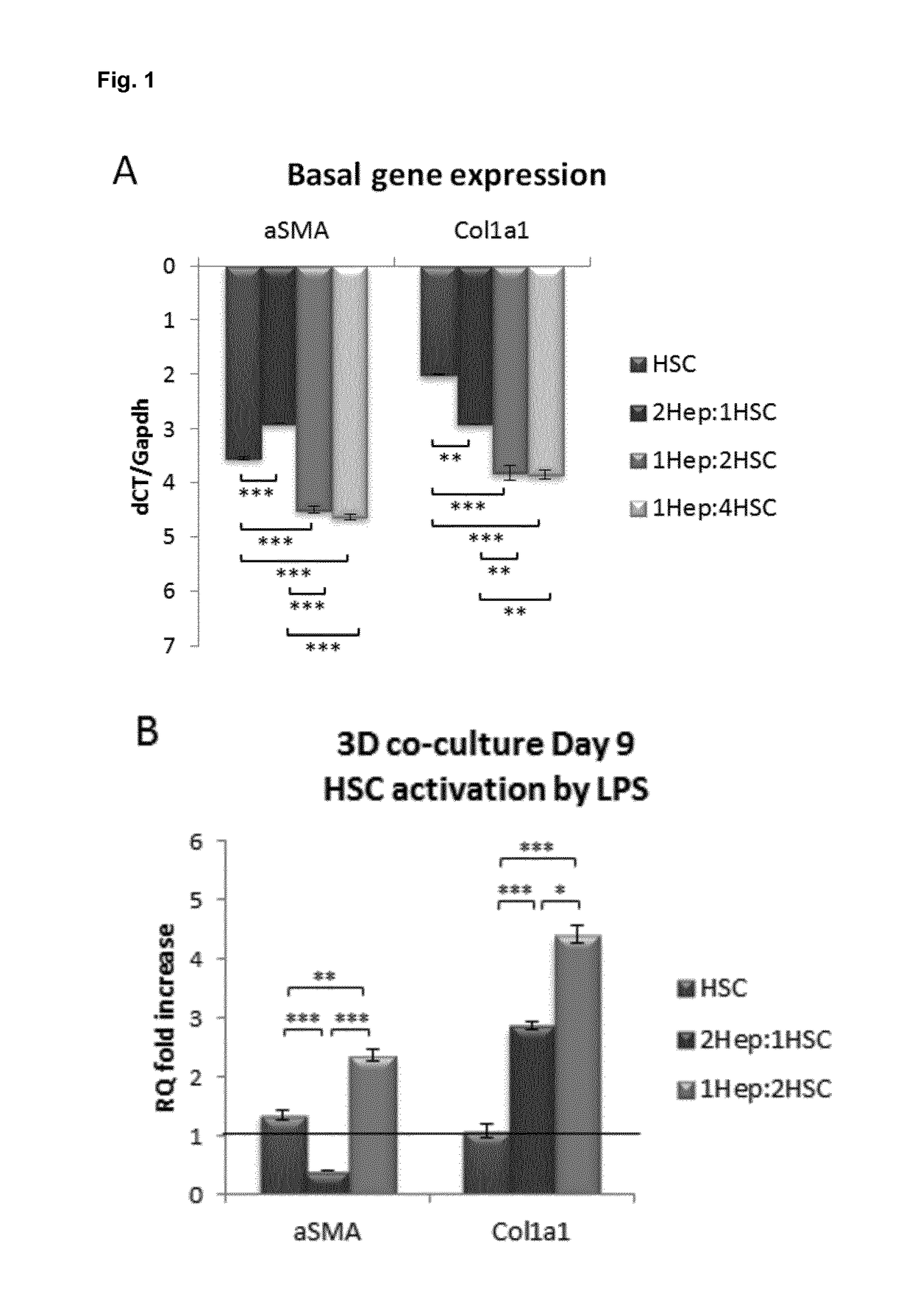 Human hepatic 3D co-culture model and uses thereof