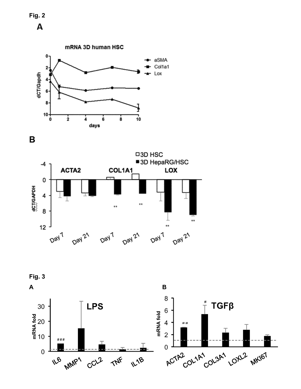 Human hepatic 3D co-culture model and uses thereof