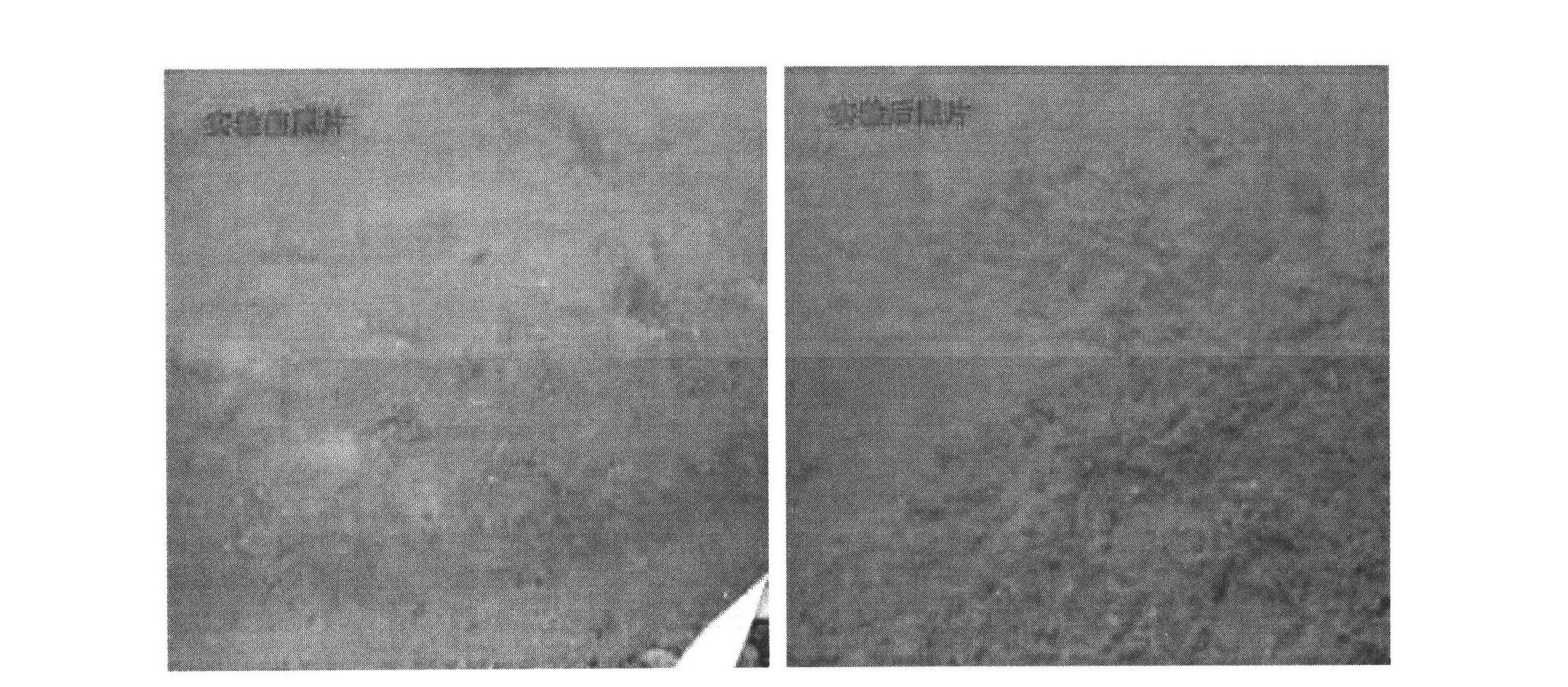 Composite germ pulp, and production method and application thereof