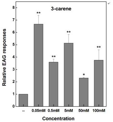 Application of a terpene compound in the biological control of American white moth