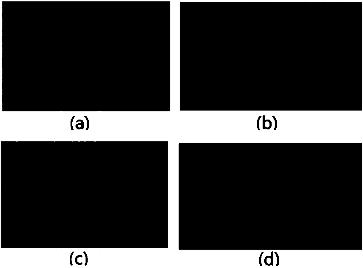 Stannous sulfide nanometer photo-thermal agent and preparation method thereof