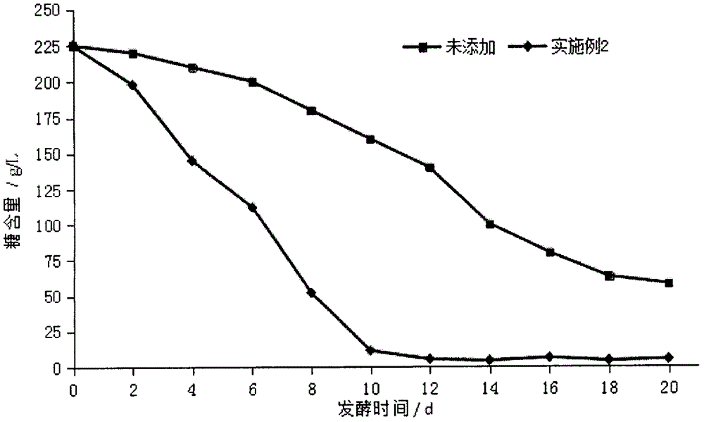 Blueberry wine composite fermentation aid and method of using same