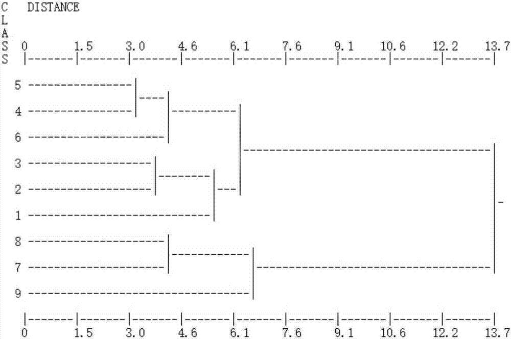 Site layout method and system for testing corn planting environment