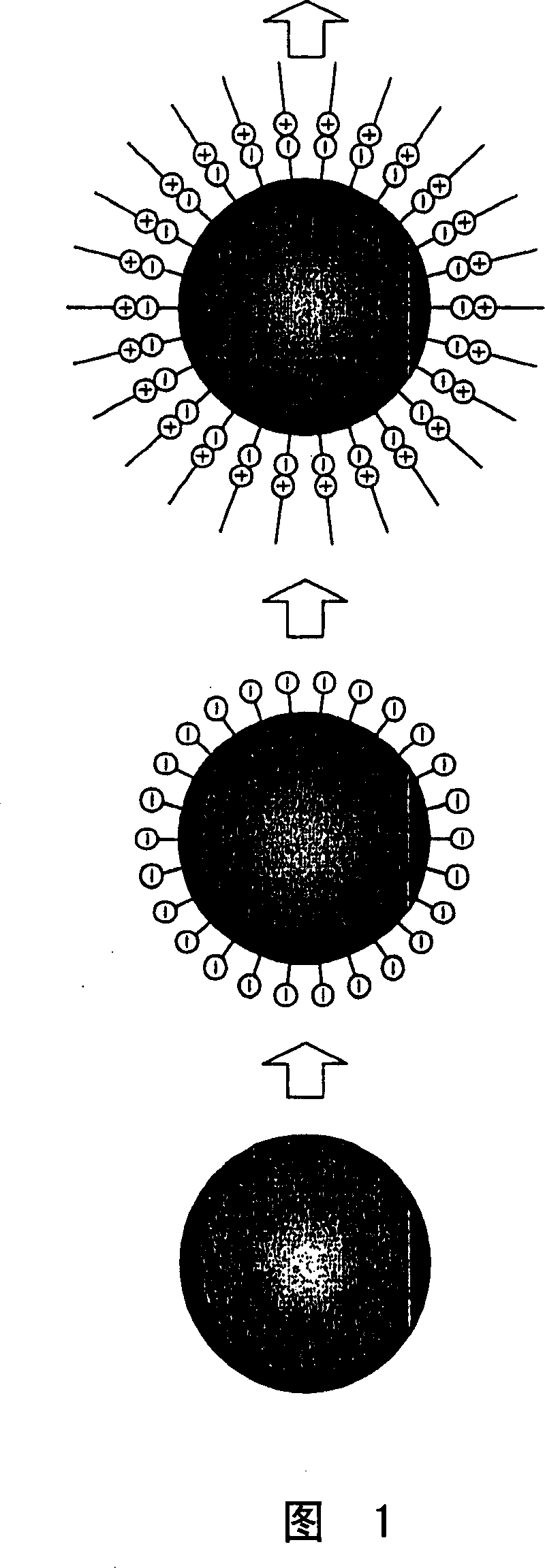 Encapsulation product, process for producing the same, and ink composition