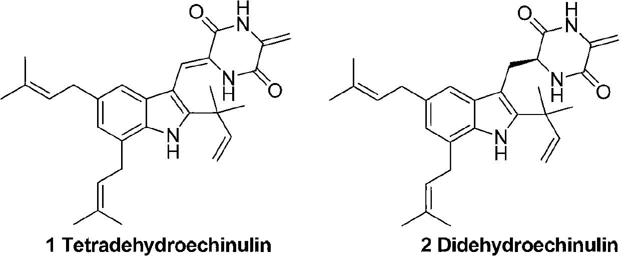 Application of indole diketopiperazine derivatives