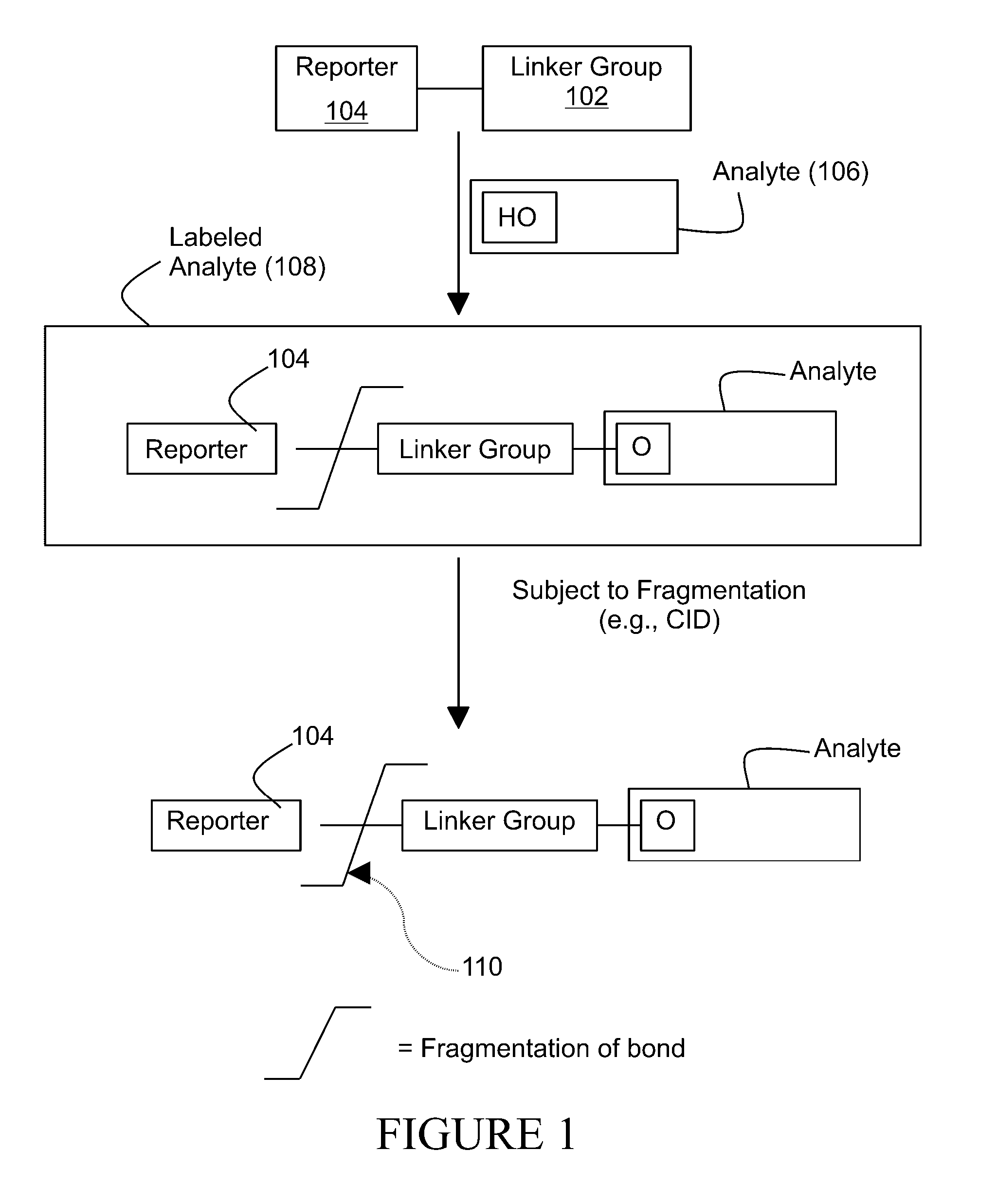 Tagging reagents and methods for hydroxylated compounds