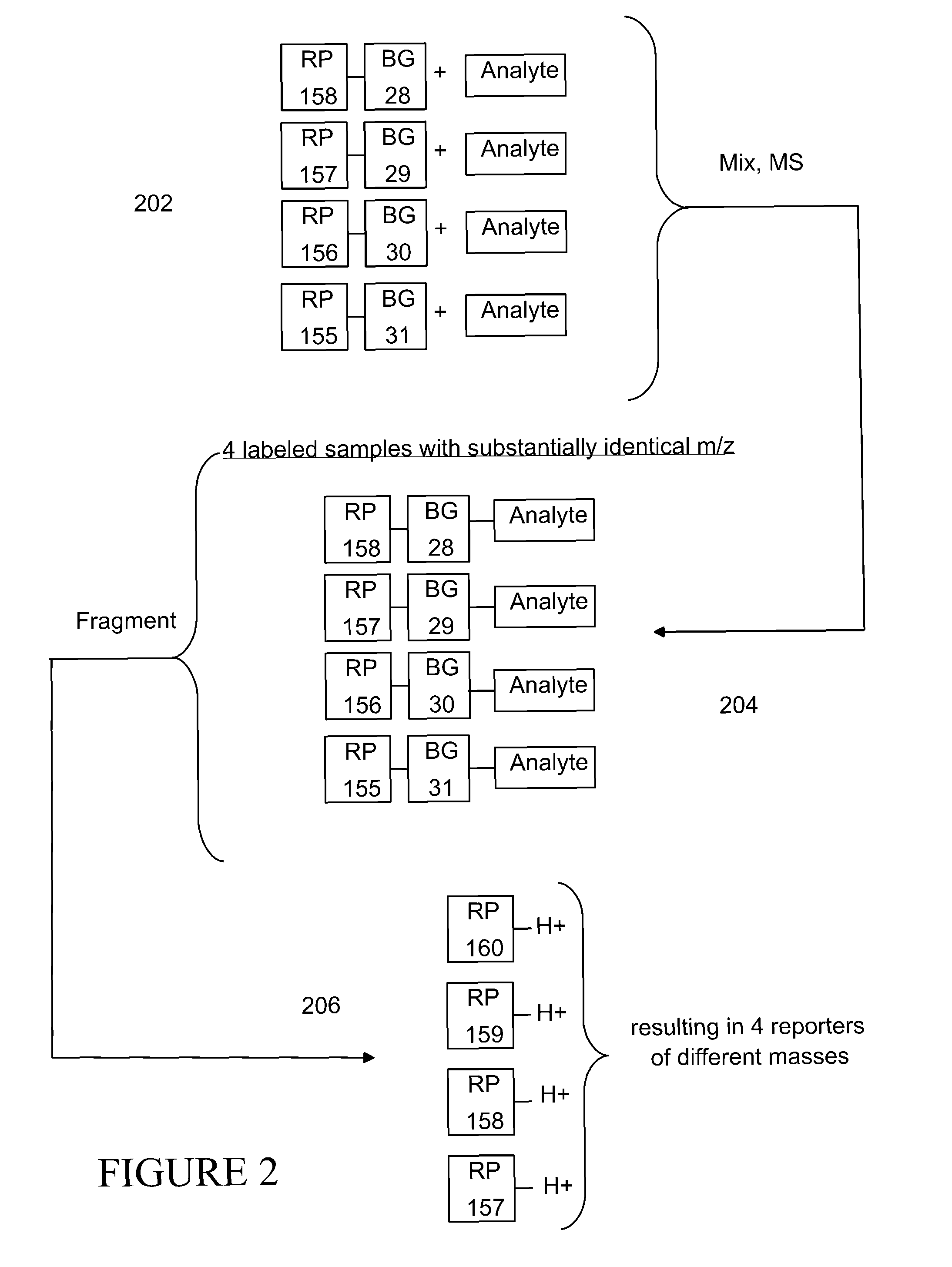 Tagging reagents and methods for hydroxylated compounds