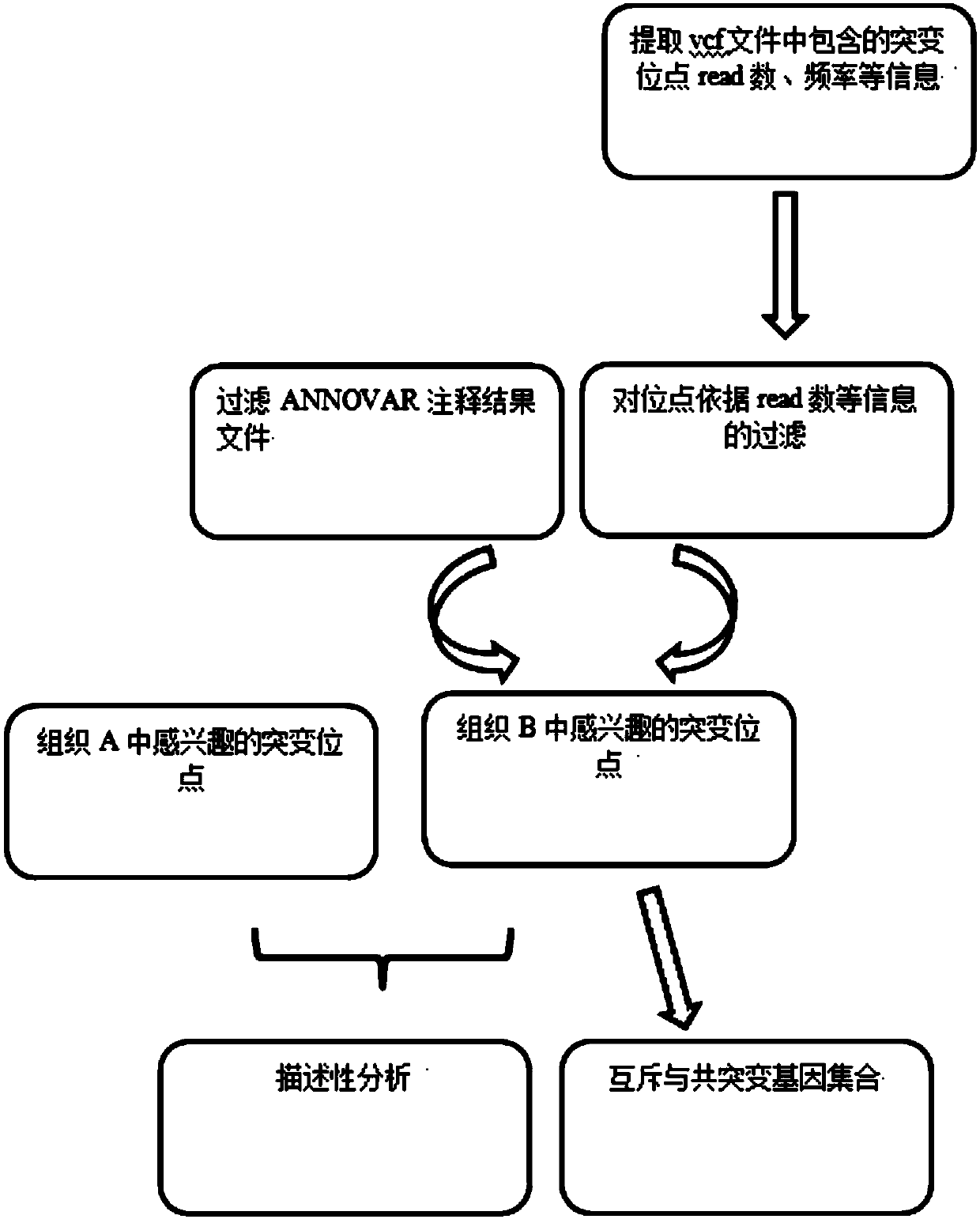 A method for screening tumor mutation sites and mining mutually exclusive genes