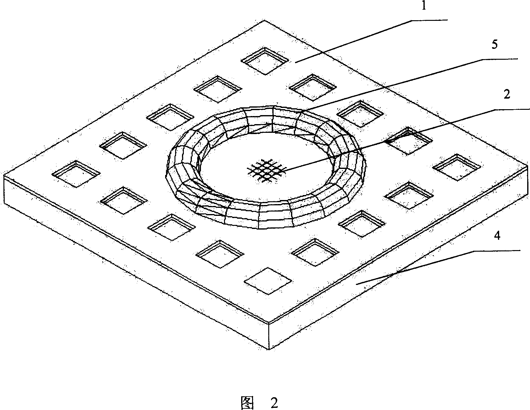 Apparatus for irritating animal cell and recording its physiological signal and its production and using method