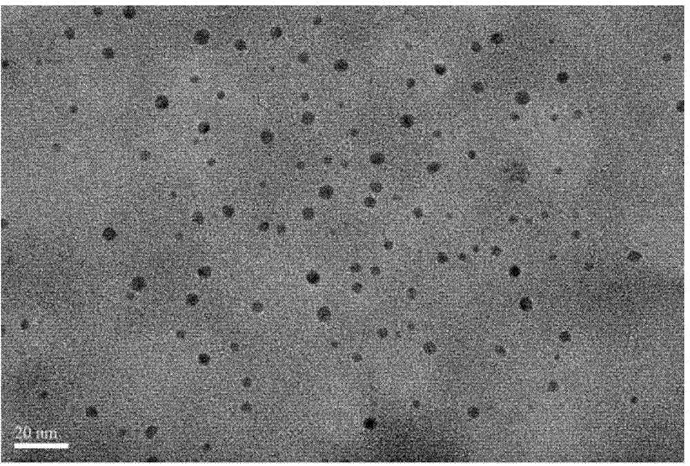 Method for synthesizing carbon quantum dot by using biologic active enzyme auxiliary microwave method, carbon quantum dot prepared by using method, and application thereof