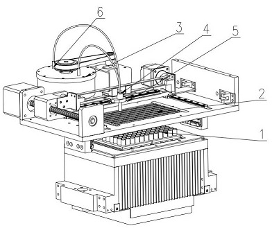 Multi-channel detection system for real-time nucleic acid fluorescence detection