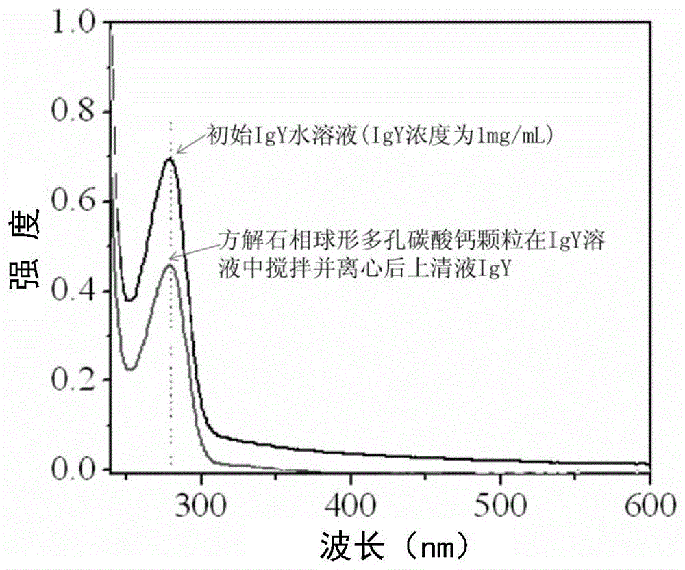 Calcite phase spherical porous calcium carbonate granule and preparation method thereof